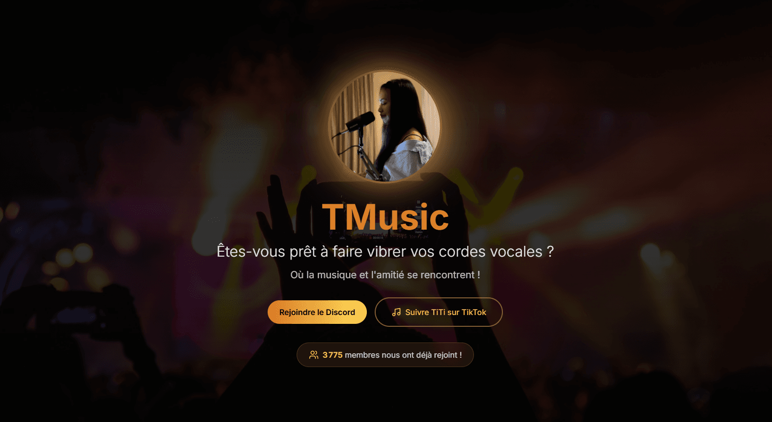 Site vitrine pour TMusic